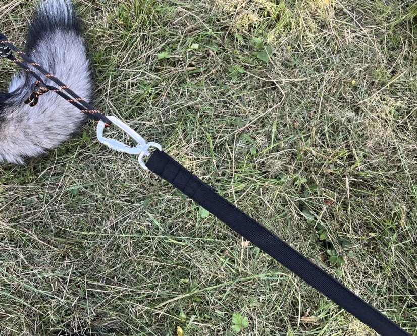 Vodítko s amortizérem na scootering Waradog Bungeeflex černá - Šířka vodítka: 1,5 cm