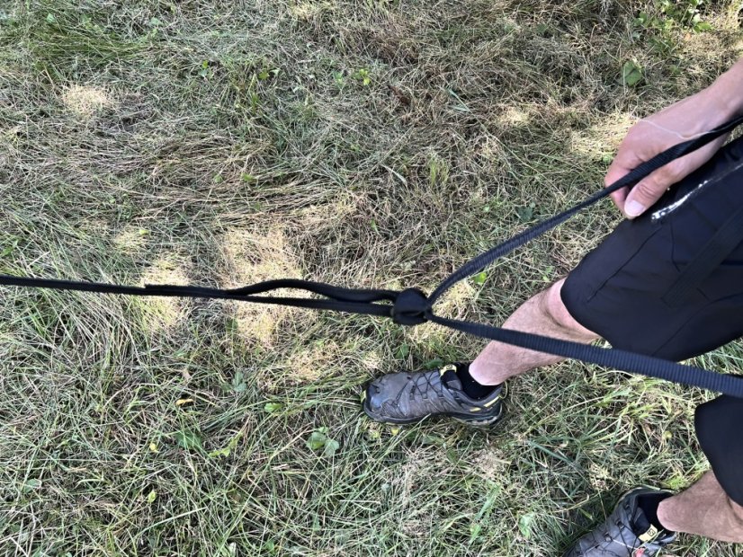 Vodítko s amortizérem na canicross Waradog Bungeeflex černá - Šířka vodítka: 2 cm