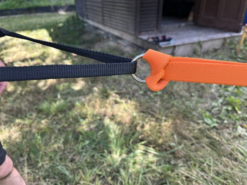 Vodítko s amortizérem na scootering Waradog Bungeeflex oranžová - Šířka vodítka: 1,5 cm