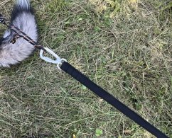 Vodítko s amortizérem na scootering Waradog Bungeeflex černá